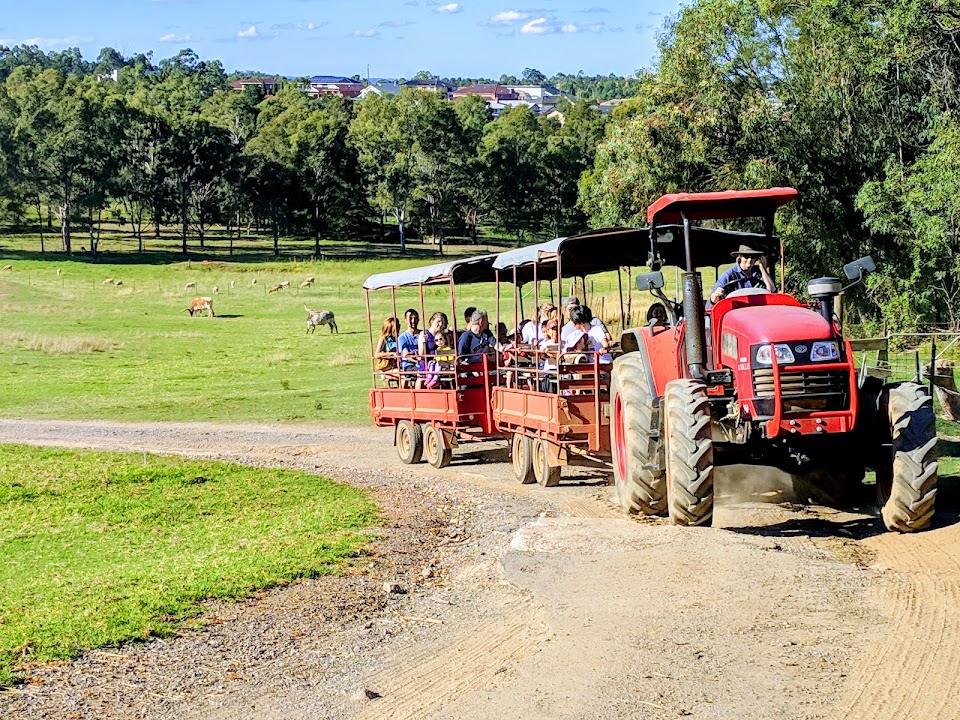 Calmsley Hill City Farm