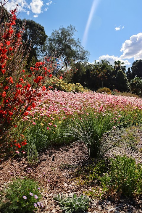 Australian Botanic Garden Mount Annan