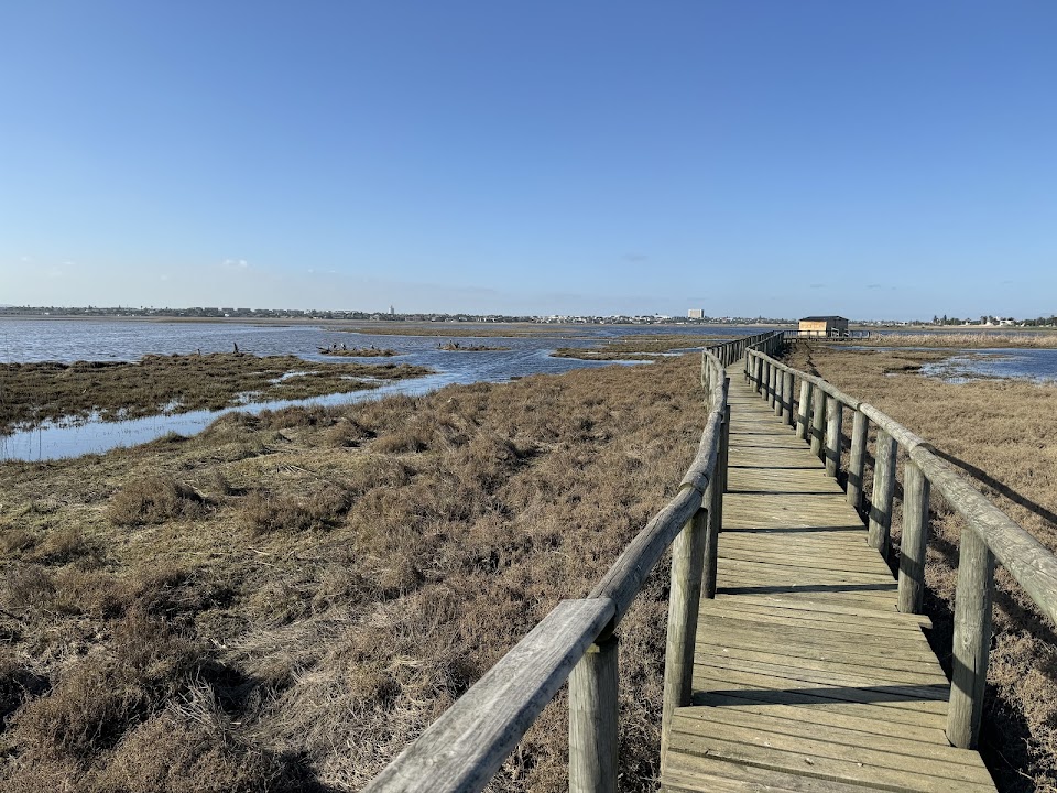 Rietvlei Wetland Reserve