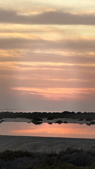 بحر
