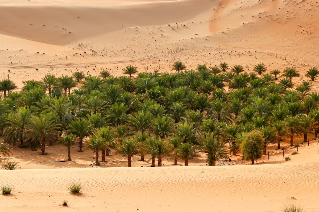 Liwa Desert Safari Camping – Extreme Tourism