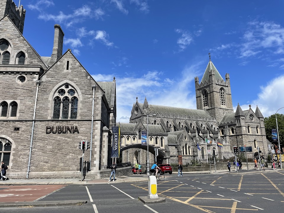 Dublinia