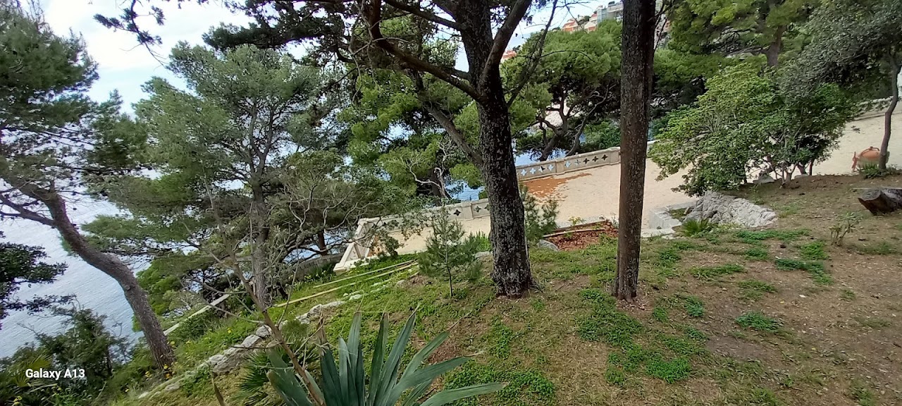 View point