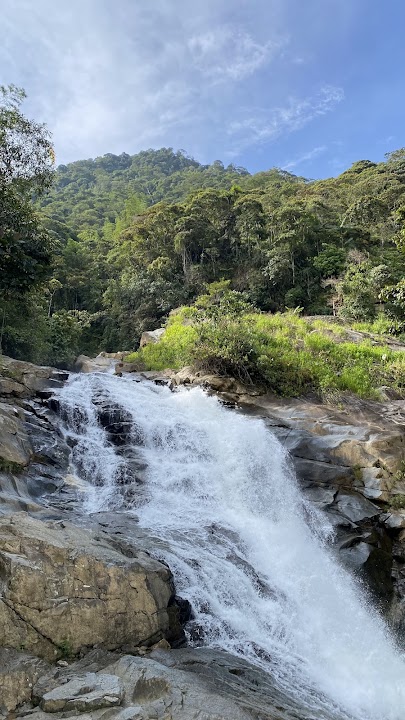 Charco del amor