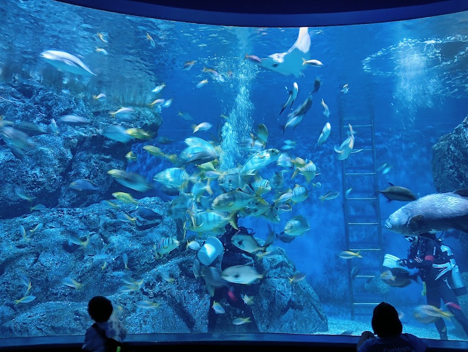 SEA LIFE Bangkok Ocean World — Bangkok experience