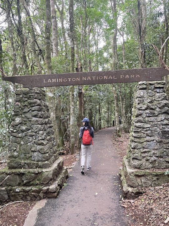Lamington National Park - Green Mountains Section