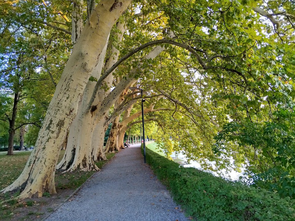 Platzspitz — Zurich experience