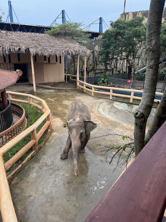 Vườn thú Thiên đường Bảo sơn