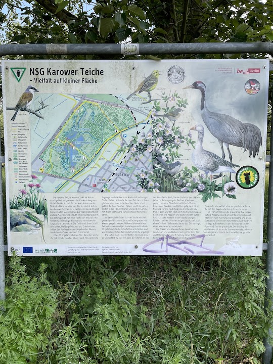 Karow Ponds