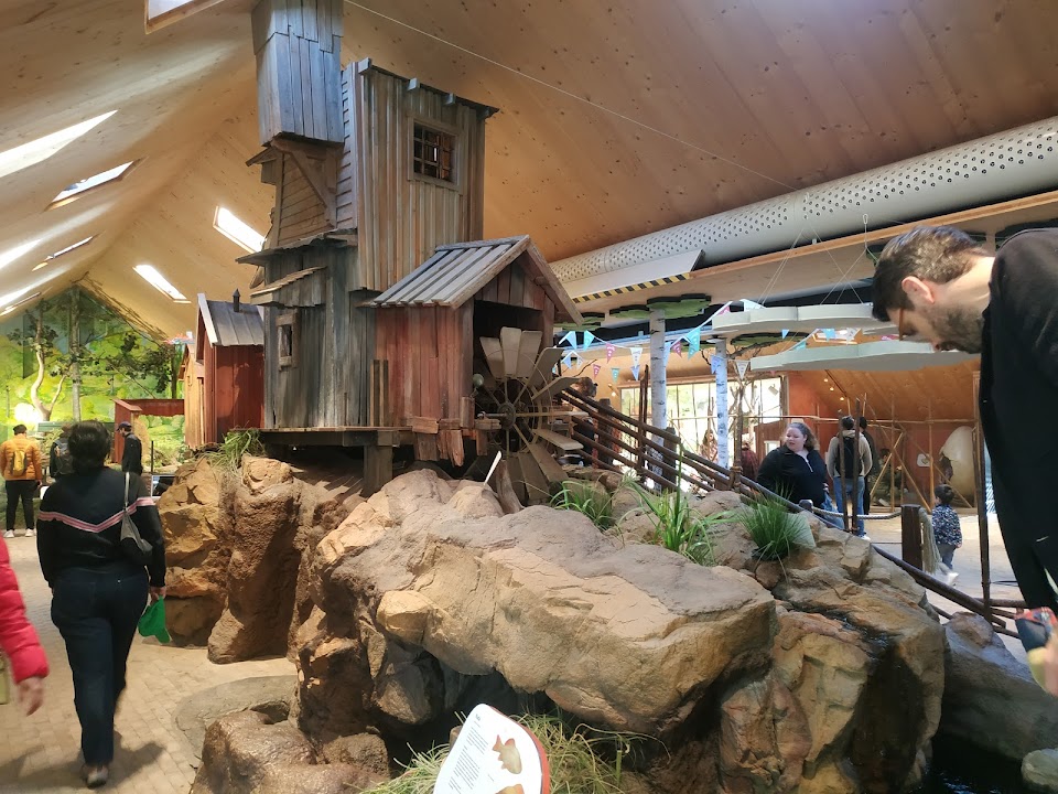 The Children's Zoo