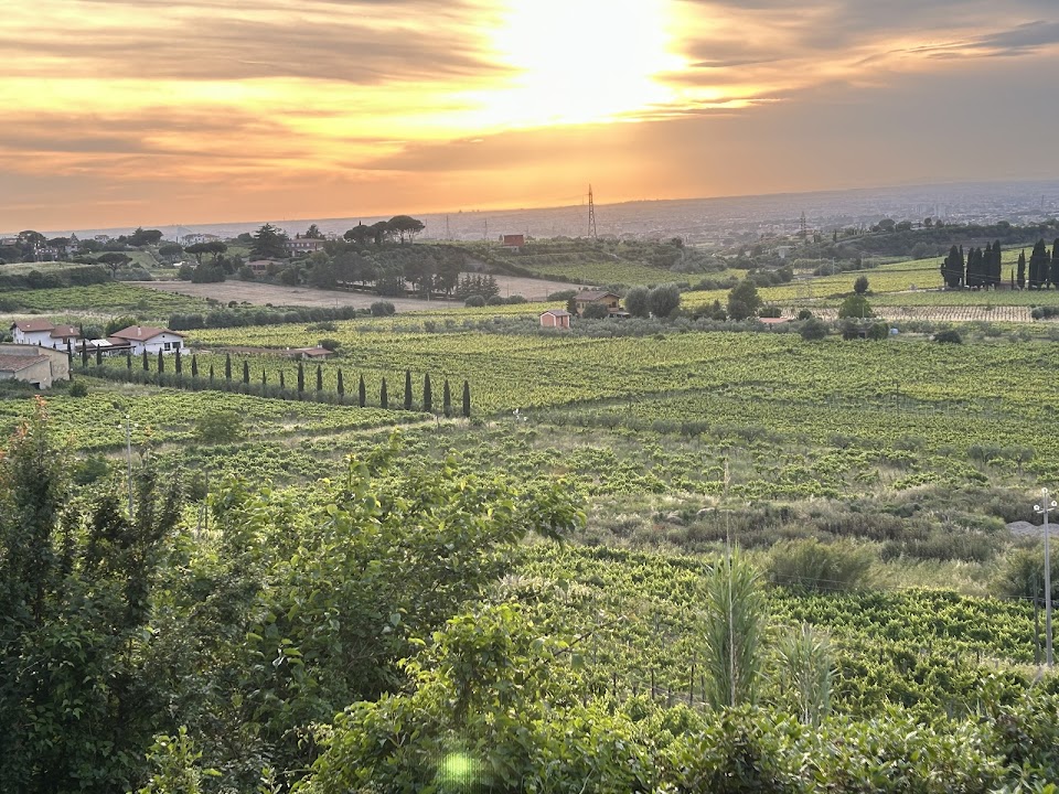 Merumalia Società Agricola Semplice