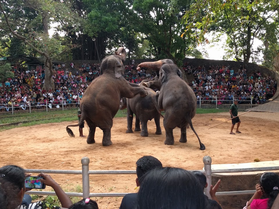 Dehiwala Zoological Gardens — Colombo experience