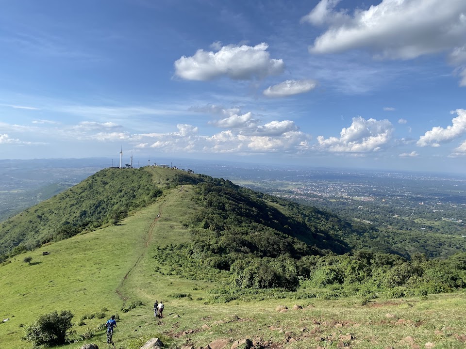 Ngong Hills Forest Reserve