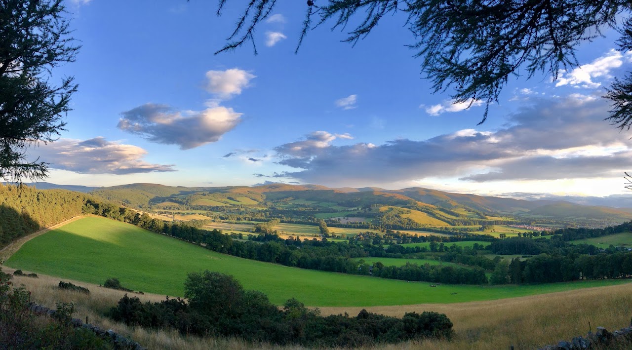 Glentress Forest