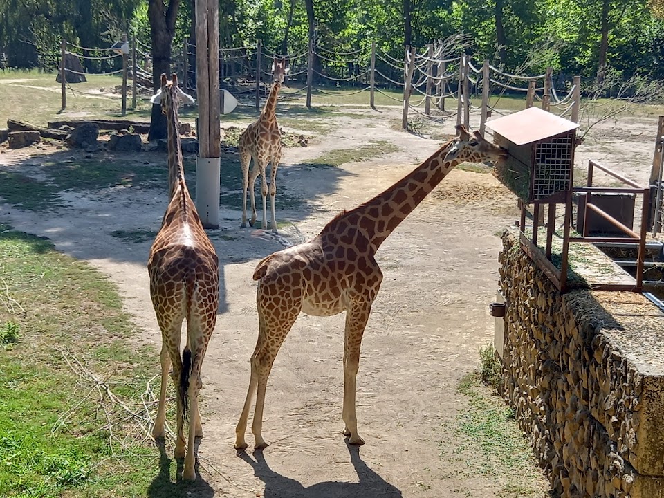 ZOO Planckendael