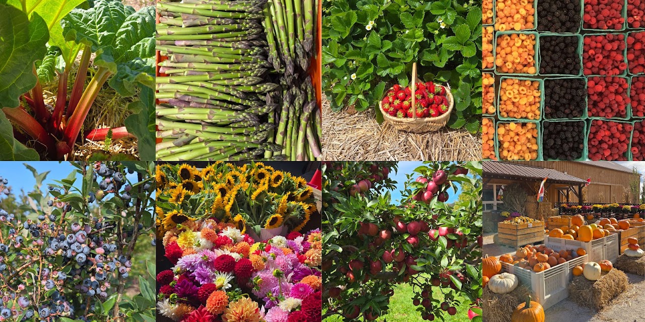 Andrews Farm Market & Winery