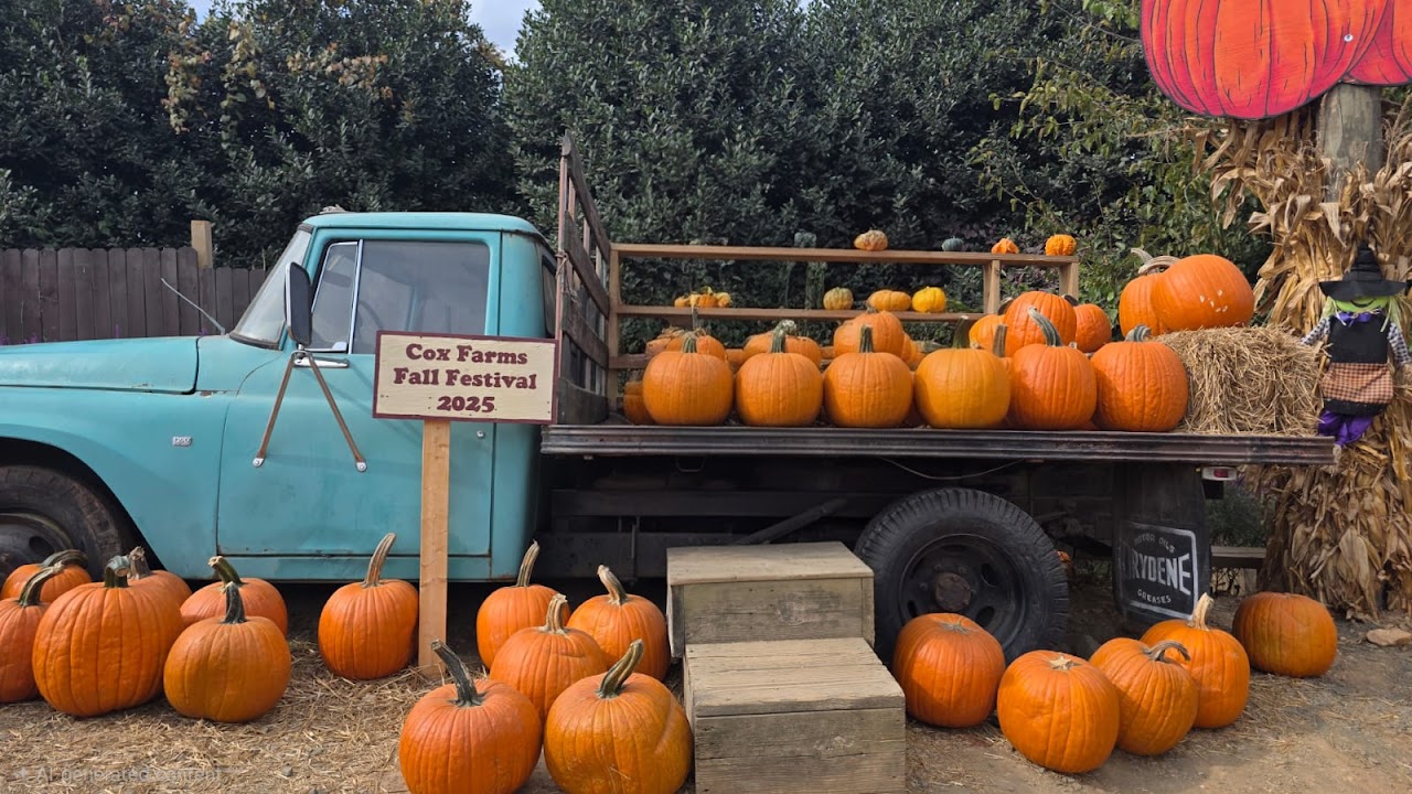 Cox Farms
