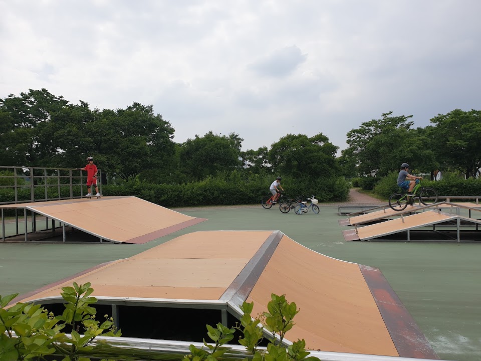 Hangang Ichon Skate Park