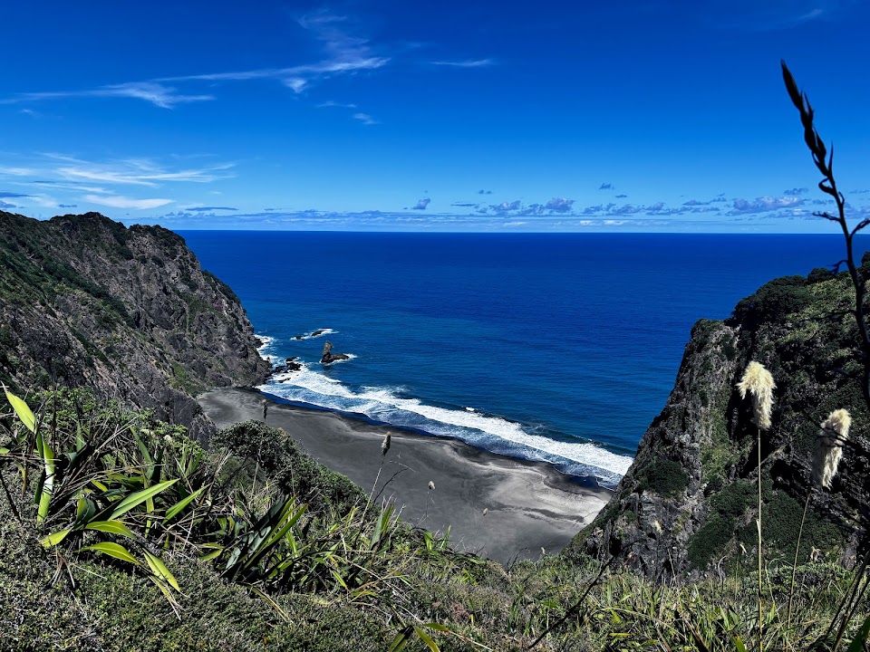 Mercer Bay Loop Walk