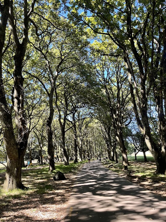 Cornwall Park Wooden/coal BBQ Area