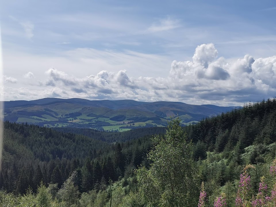 Glentress Mountain Bike Trail Centre