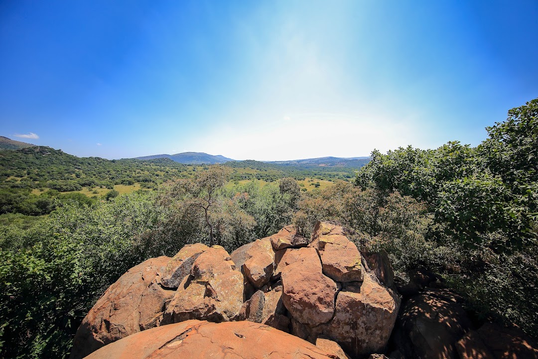 B'sorah Trails