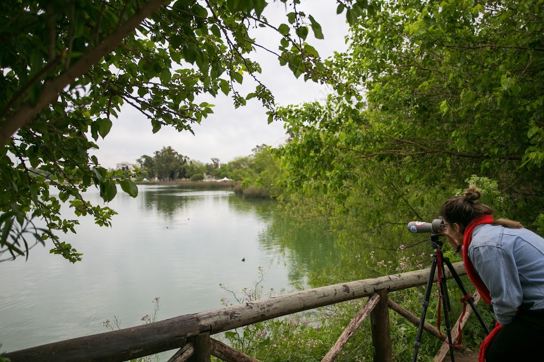 Lago Lugano Ecological Reserve