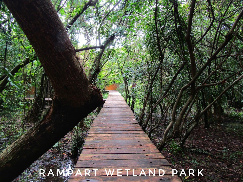 Kotte Rampart Wetland Park