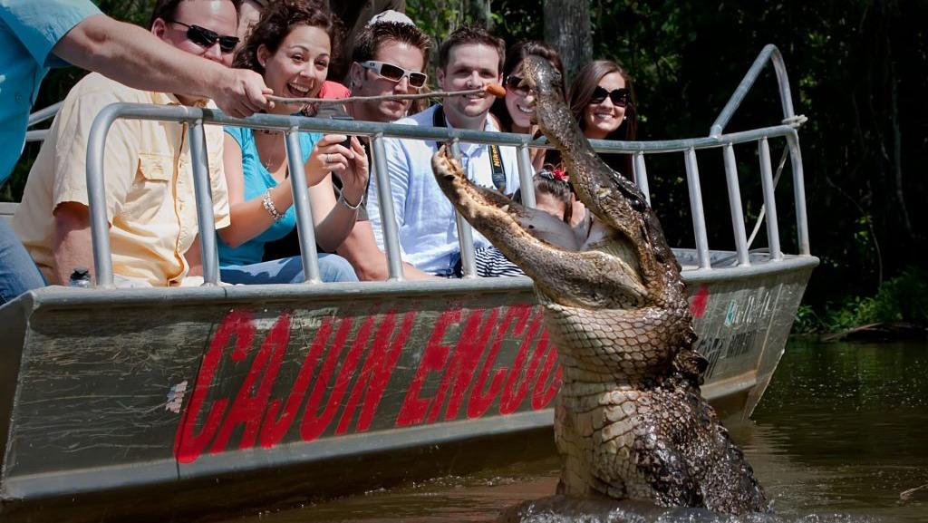 Cajun Encounters Tour Company