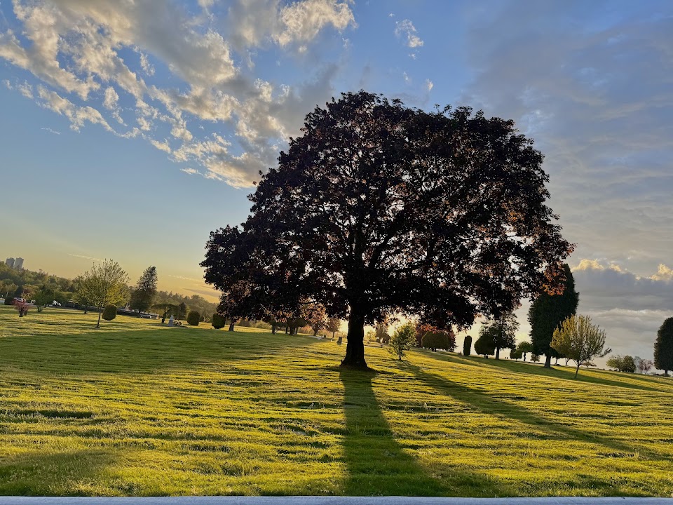 Forest Lawn Memorial Park