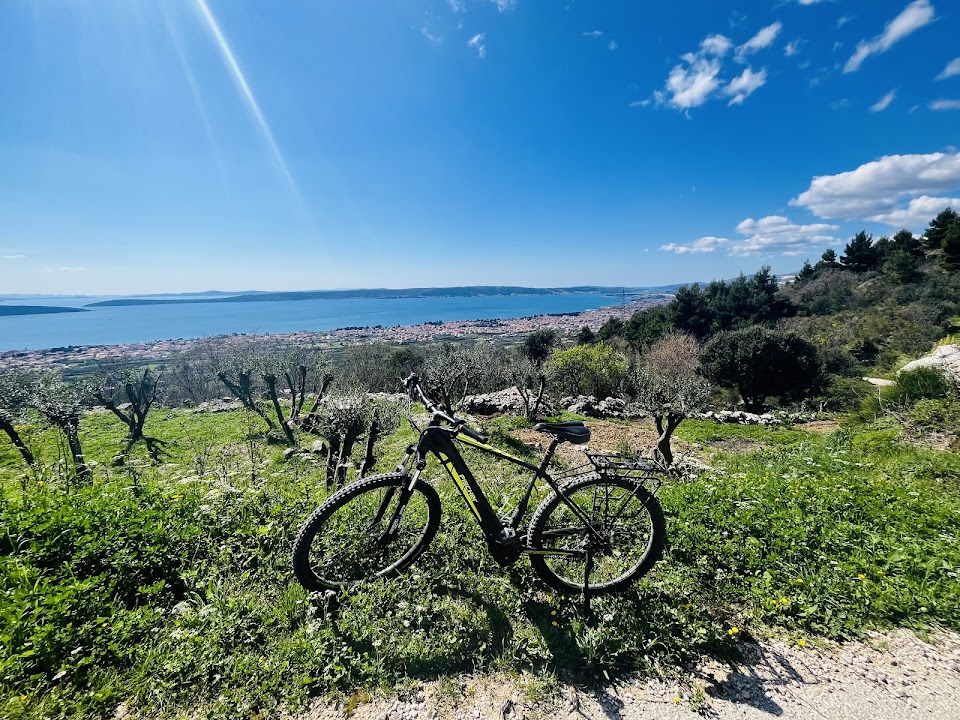 Mountain Bike Kozjak