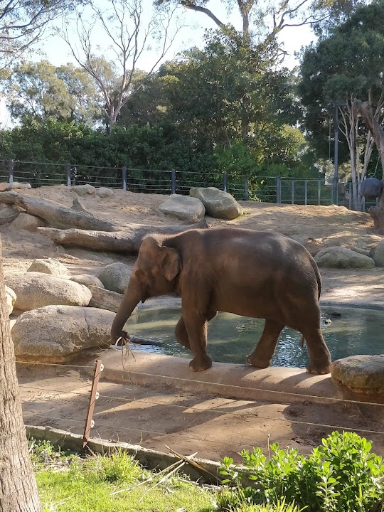 Zoos Victoria Head Office