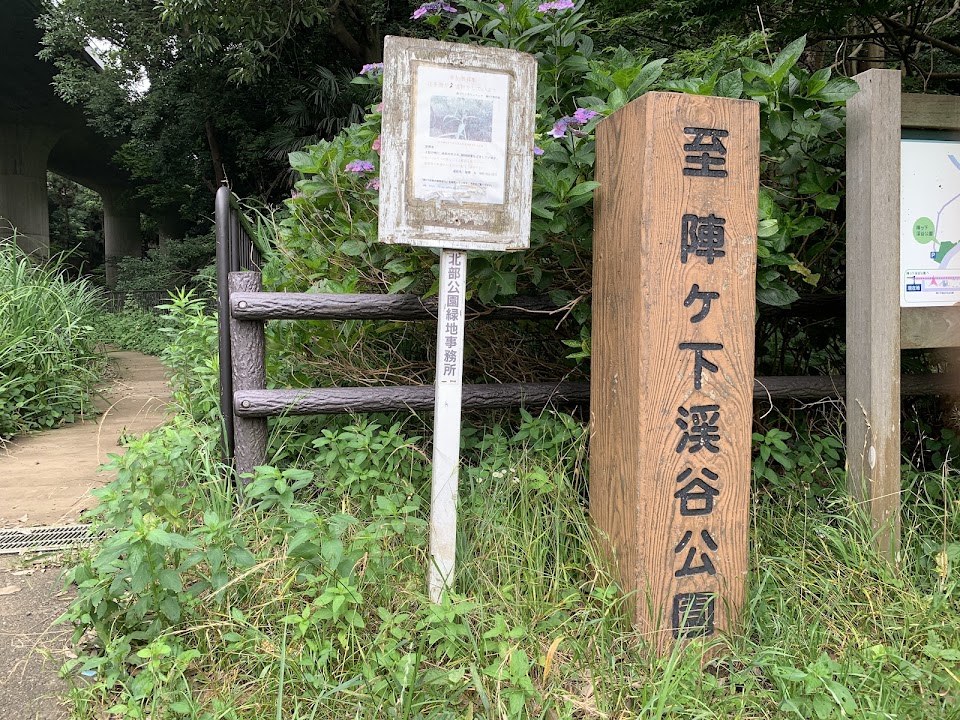 Jingashita Keikoku Park
