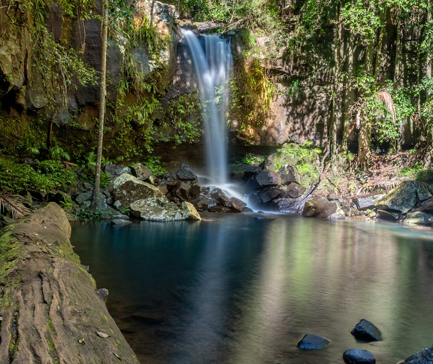 Curtis Falls Walking Track