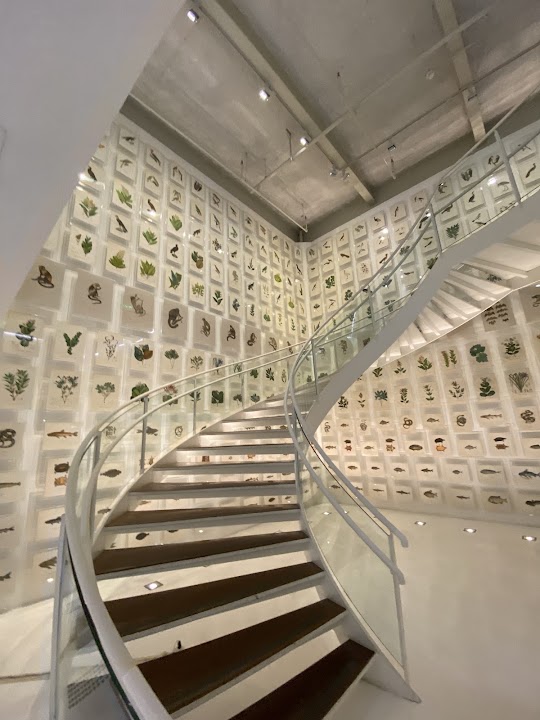 Instituto Itaú Cultural — São Paulo experience