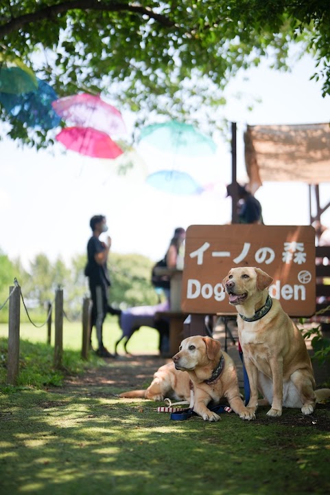 Ino-forest Dog Garden