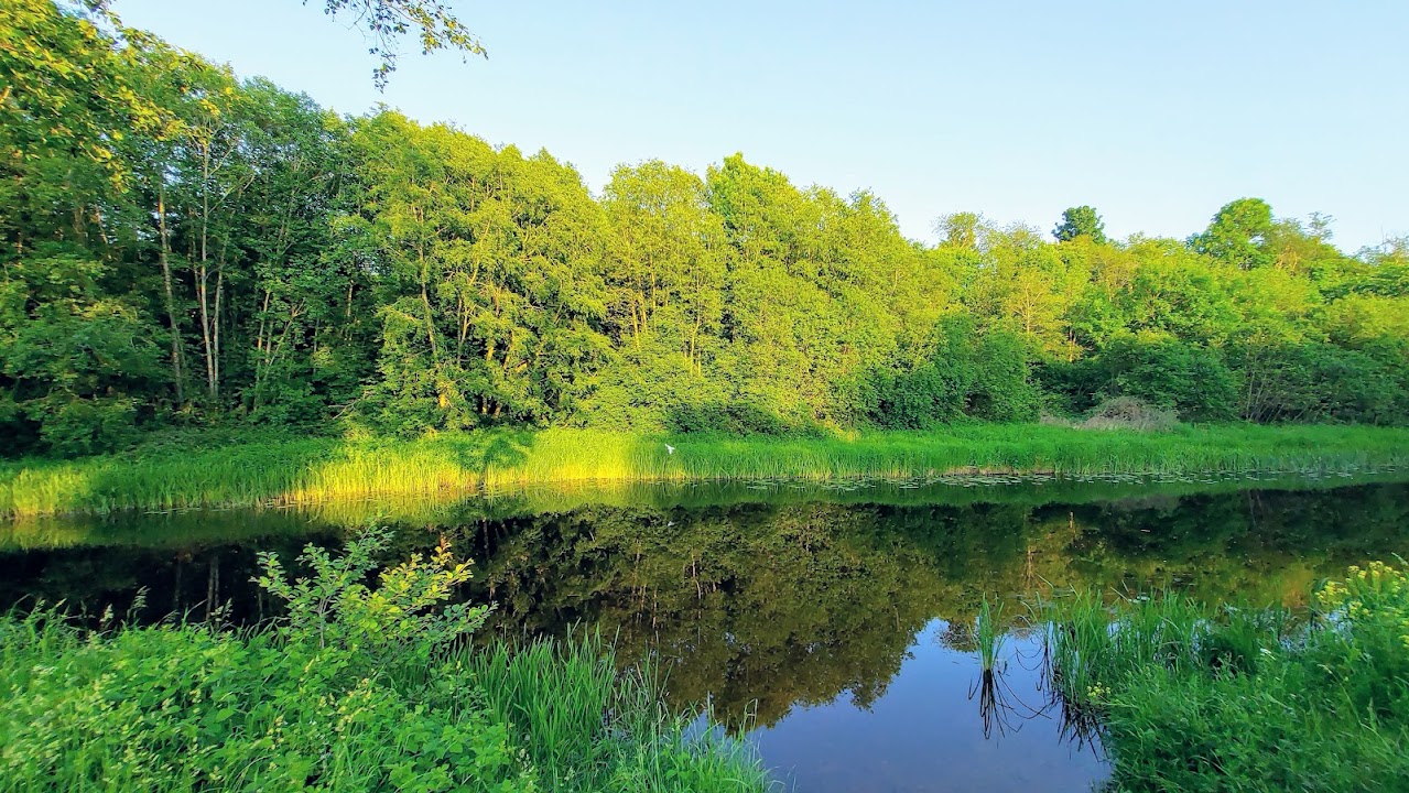 Lasnamäe Grillimiskoht