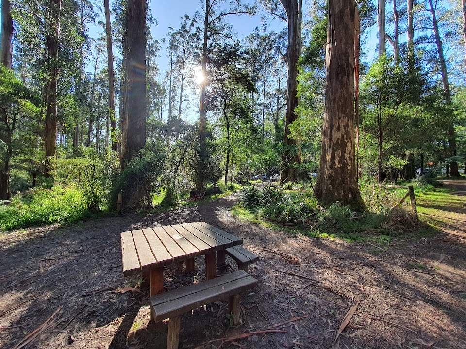 Sherbrooke Picnic Ground