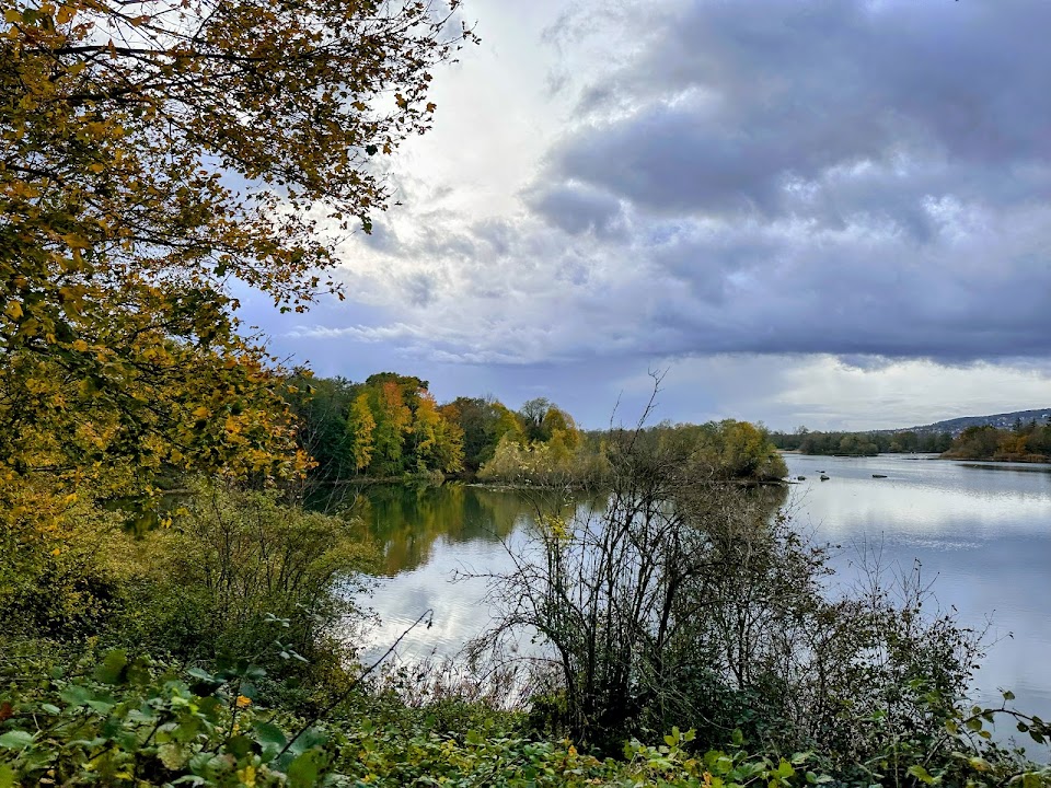 Plage de la Forêt