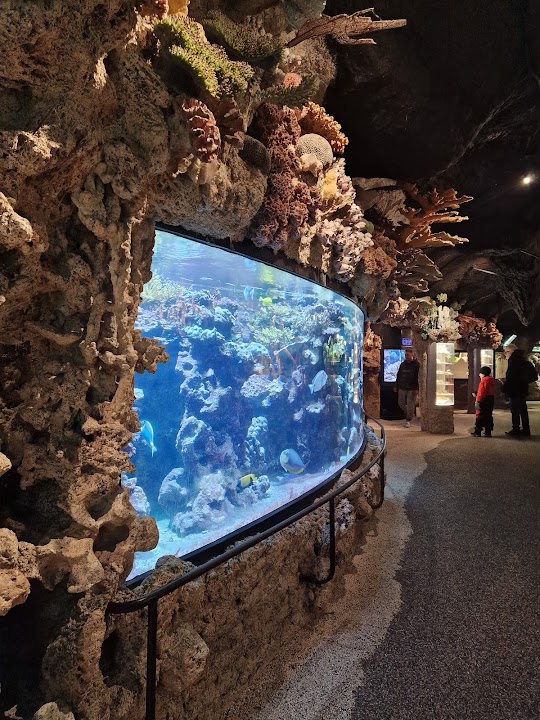 Skansen Aquarium