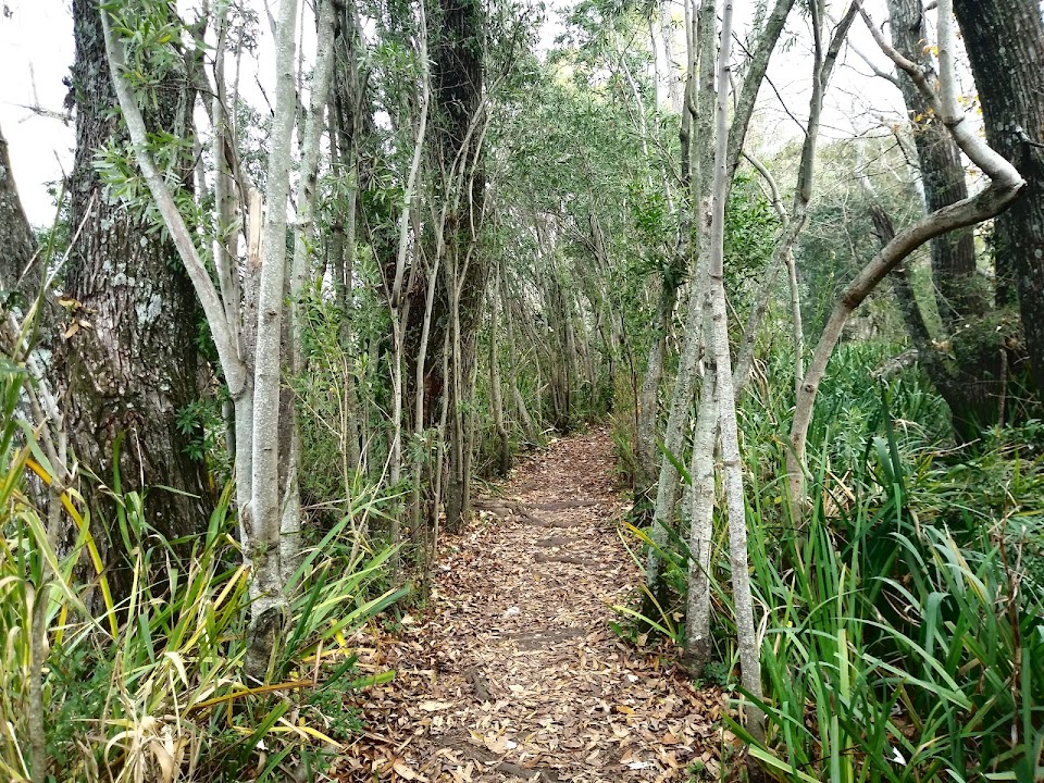 Municipal Ribera Norte Natural Park