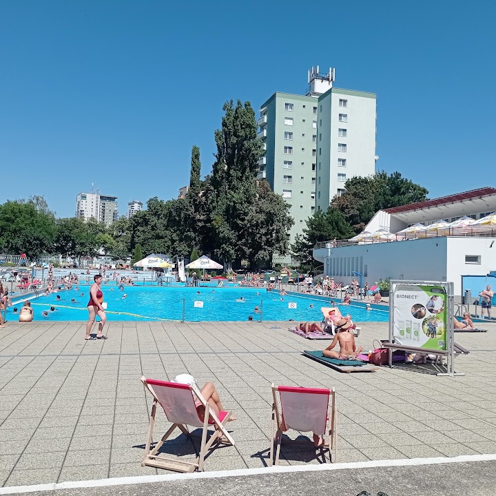 Delfin Summer Swimming Pool