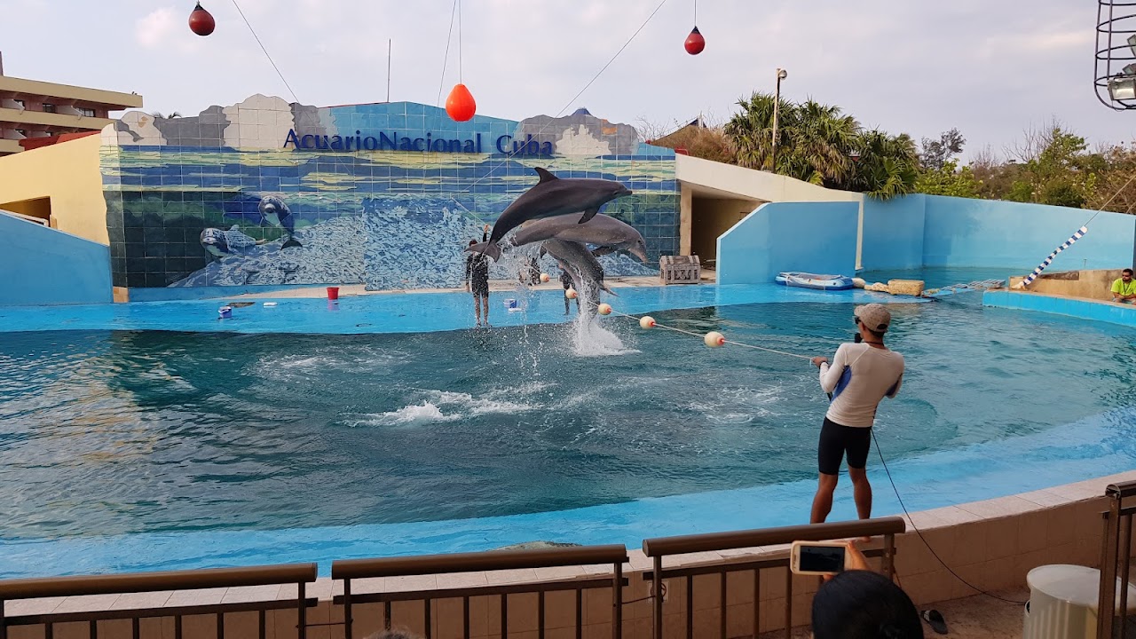 National Aquarium of Cuba
