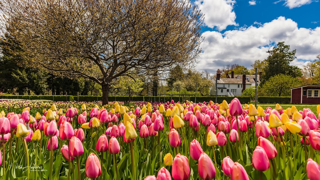 Stevens-Coolidge House & Gardens
