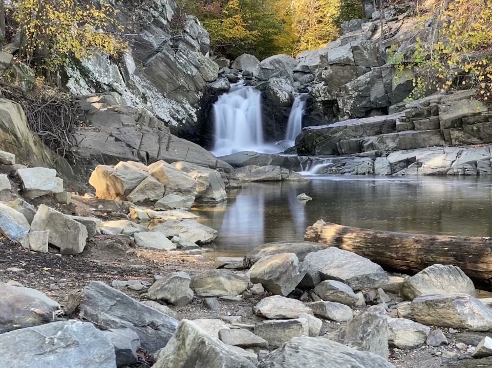 Scott’s Run Nature Preserve