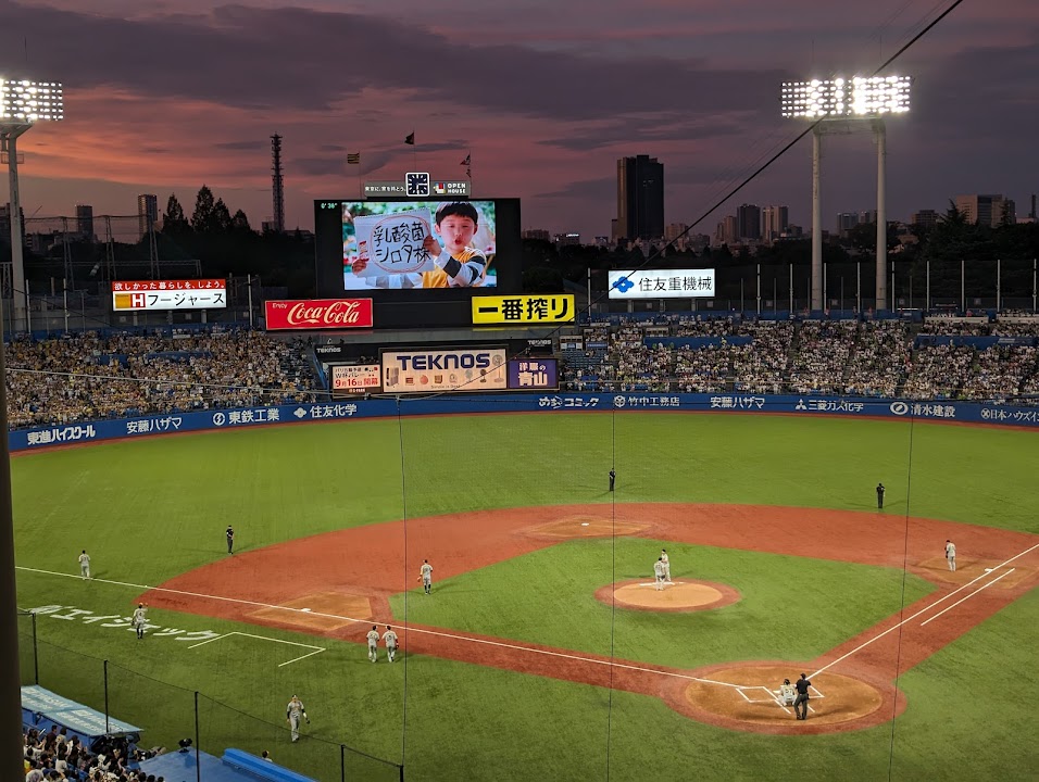 Meiji Jingu Baseball Stadium