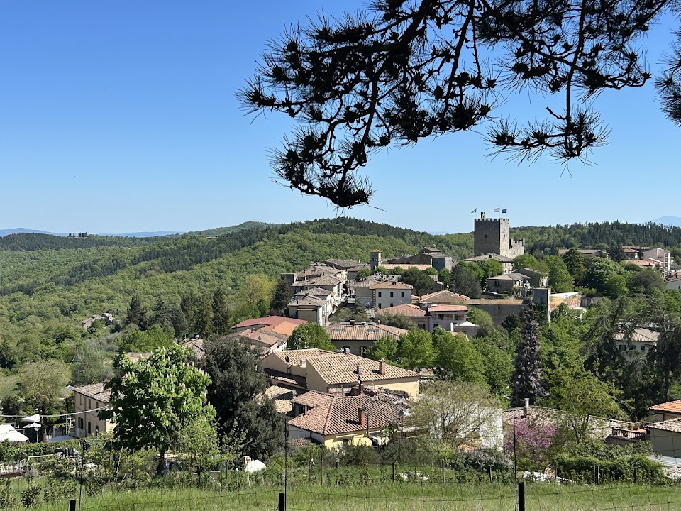 Agricamping L'Apicorno- Campeggio nel Chianti