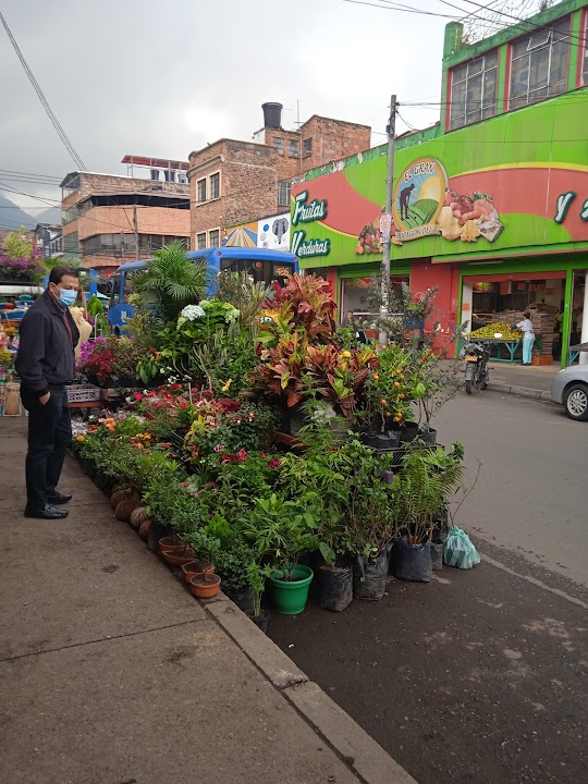 Plaza de Mercado 7 de agosto