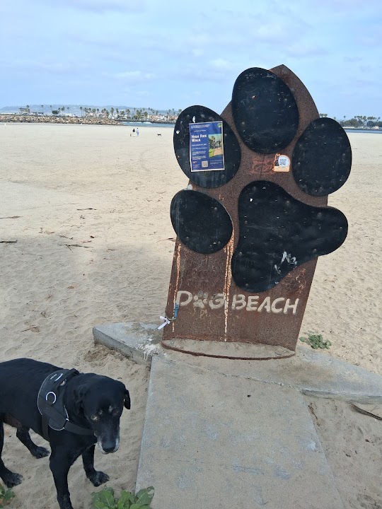 Ocean Beach | Dog Beach