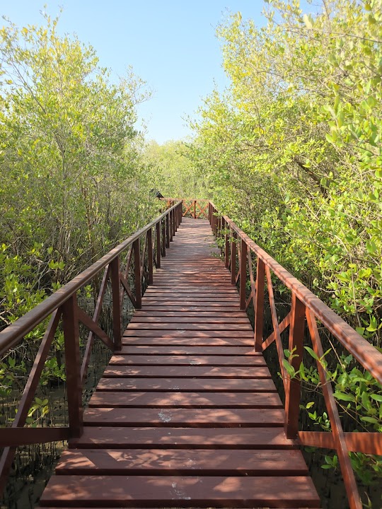 Qurum Natural Reserve